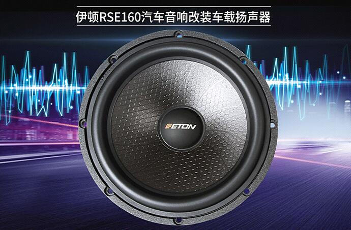 伊頓RSE160兩分頻套裝喇叭