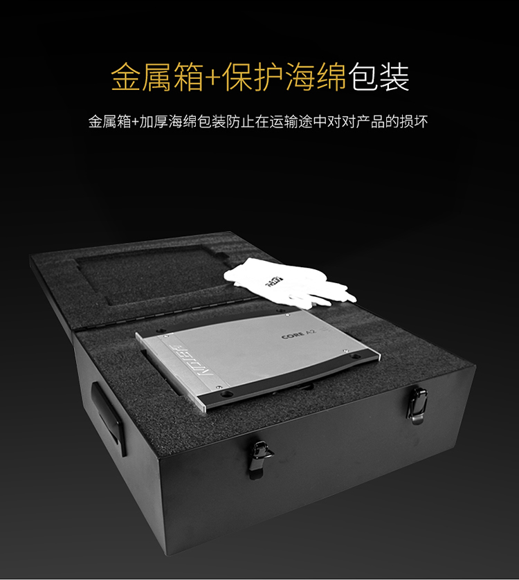 德國伊頓CORE A2兩聲道功放