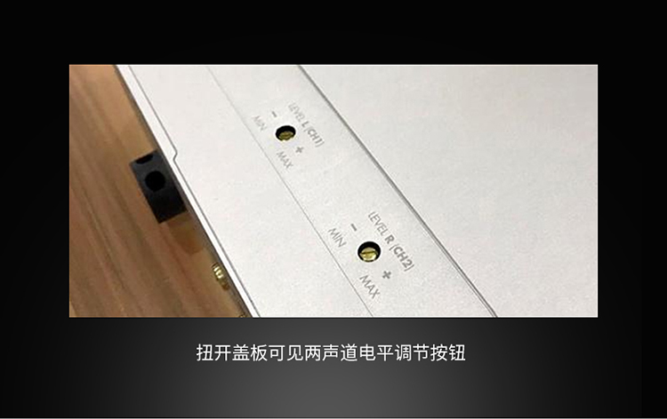 德國伊頓CORE A2兩聲道功放