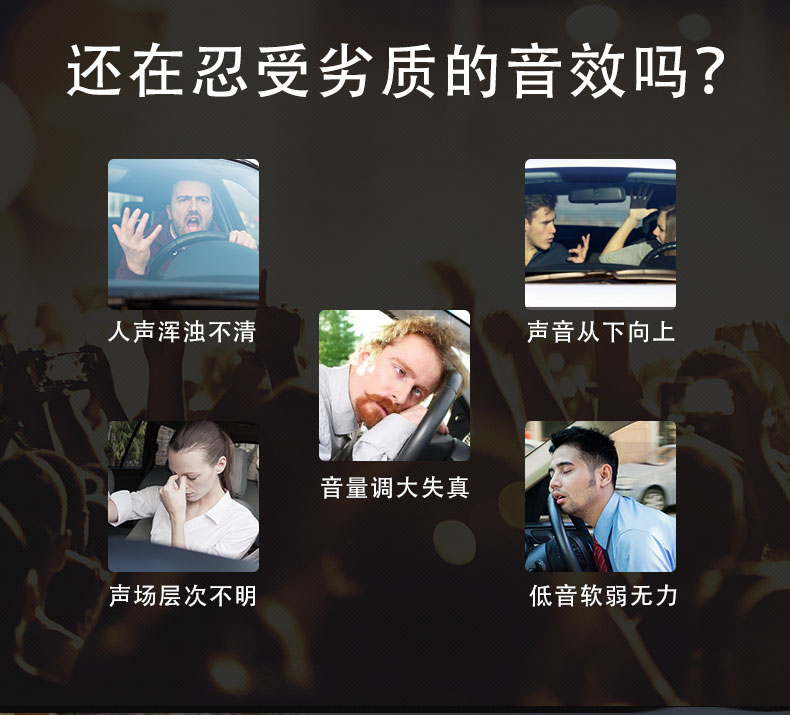 意大利TEC  VE6.2 愛神兩分頻