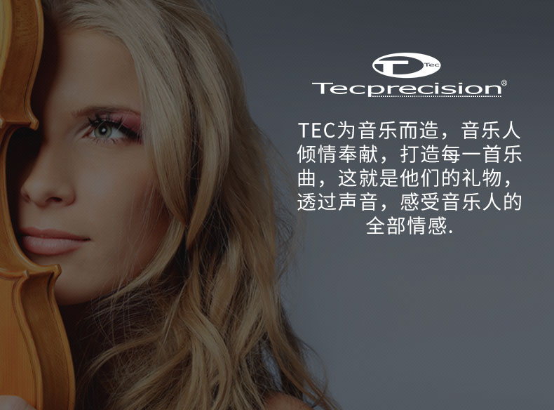 意大利TEC  VE6.2 愛神兩分頻