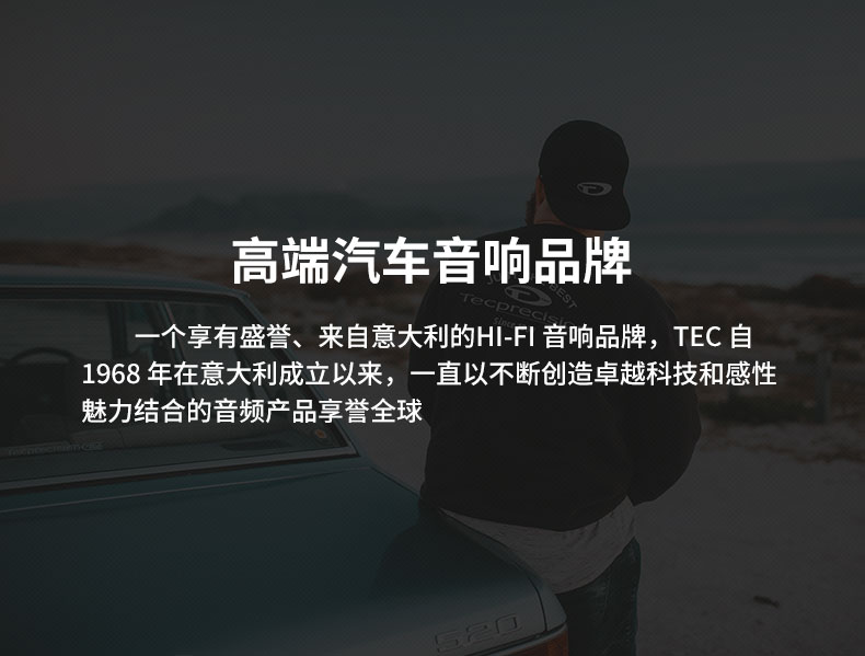 意大利TEC  VE6.2 愛神兩分頻