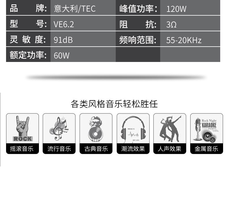 意大利TEC  VE6.2 愛神兩分頻