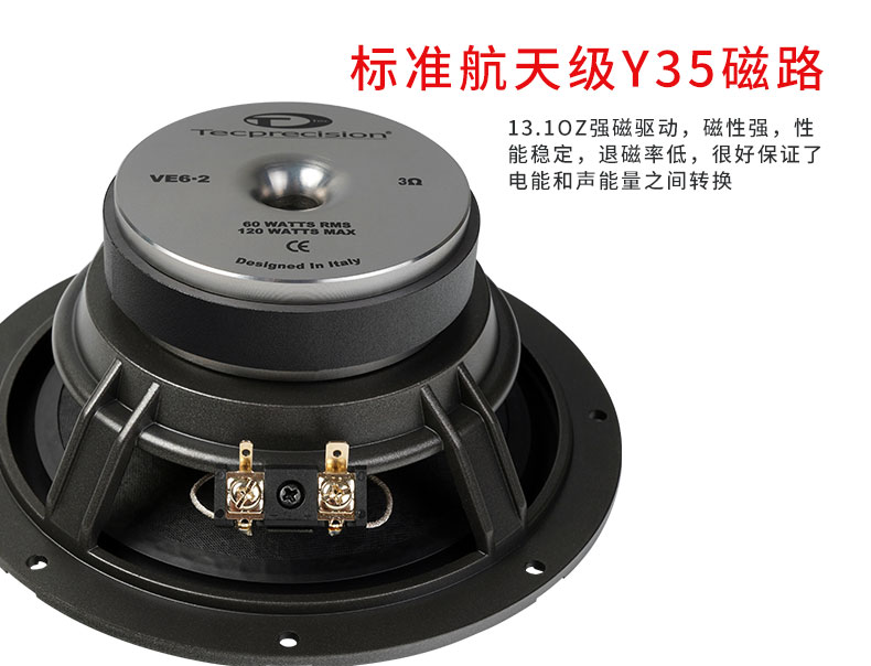 意大利TEC  VE6.2 愛神兩分頻