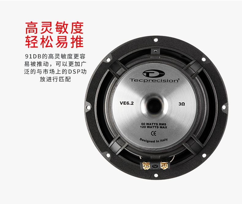意大利TEC  VE6.2 愛神兩分頻