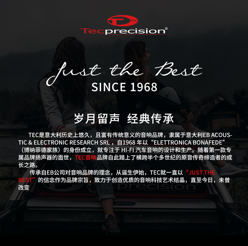 意大利TEC  VE6.2 愛神兩分頻