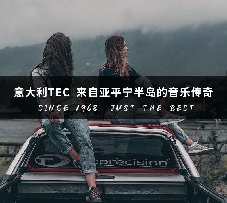 意大利TEC  CU6.2 小愛神兩分頻