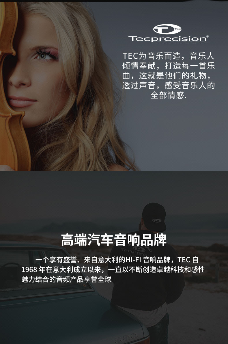 意大利TEC  CU6.2 小愛神兩分頻