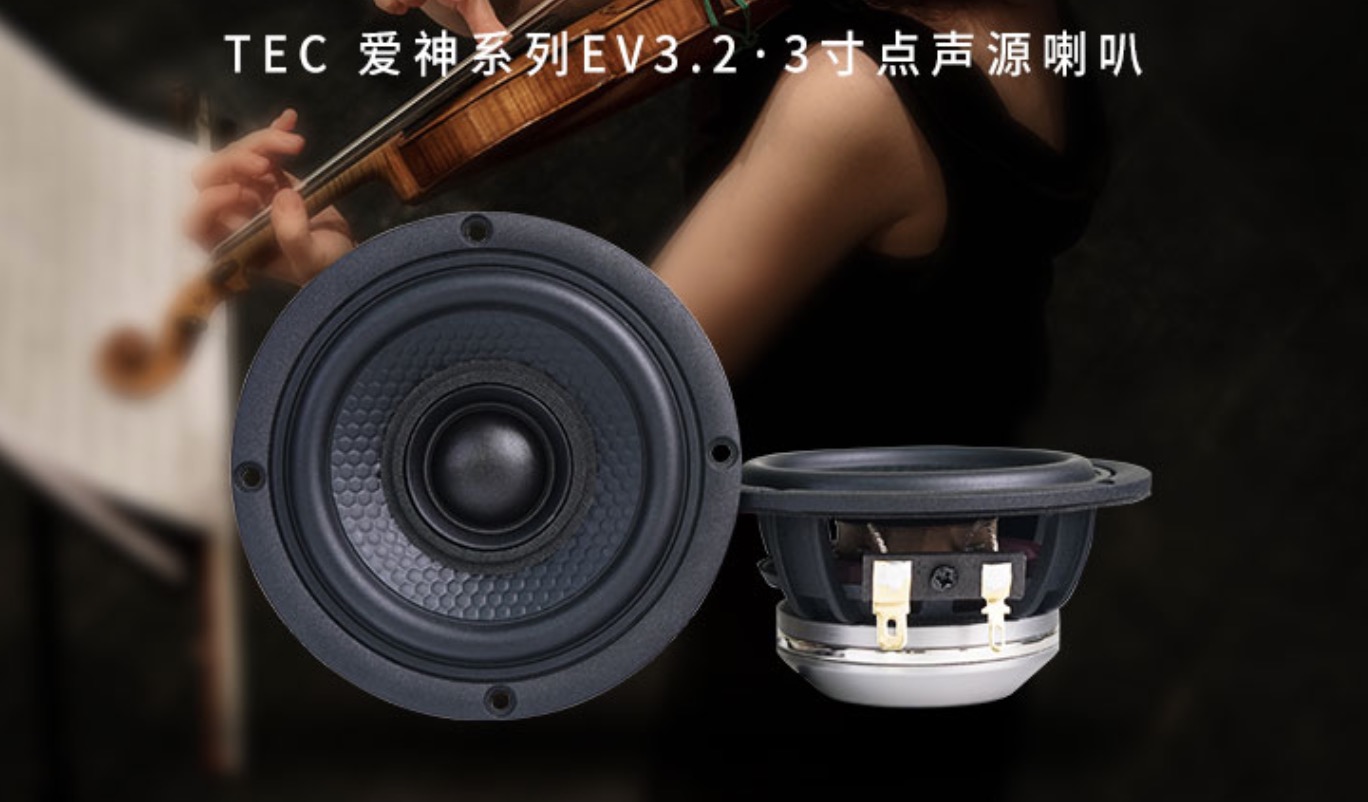 意大利TEC  VE3.2 愛神點聲源