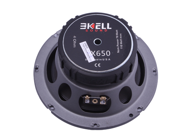 美國BKELL（霸克）DX650兩分頻套喇叭